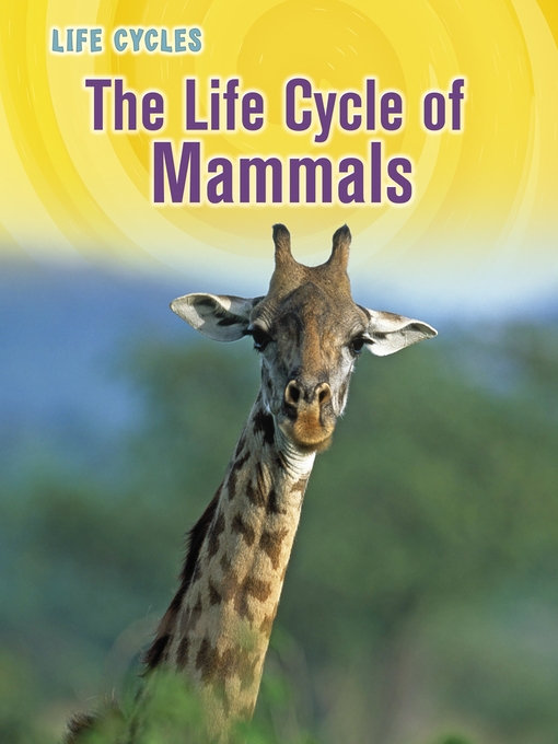 Title details for The Life Cycle of Mammals by Susan H. Gray - Available